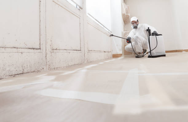 24/7 Emergency Mold Remediation experts in Kingston, TN